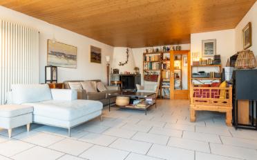 Doppeleinfamilienhaus 6.5 Zimmer - image - 5