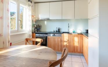 Doppeleinfamilienhaus 6.5 Zimmer - image - 9