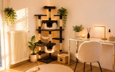 Studio 1.5 rooms - image - 2