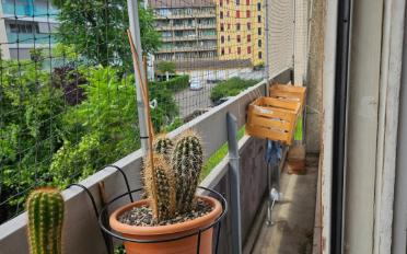 Wohnung 3 Zimmer - image - 8