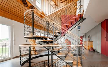 Villa 9 Zimmer - image - 9