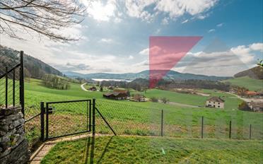 Villa 9 Zimmer - image - 8