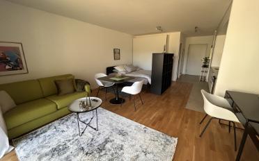 Apartment 1 room - image - 1