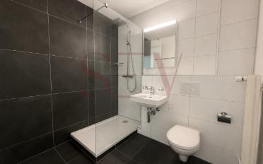 Wohnung 4.5 Zimmer - image - 9