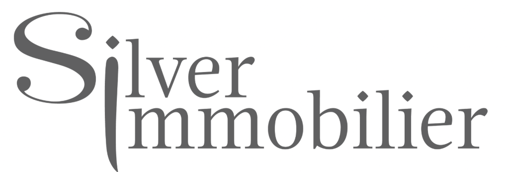 Silver Immobilier