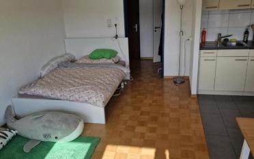 Apartment 1.5 rooms - image - 2