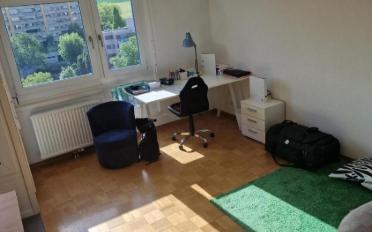 Apartment 1.5 rooms - image - 1