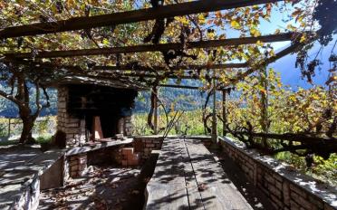 Villa 2.5 rooms - image - 6