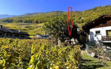 Villa 2.5 rooms - image - 7