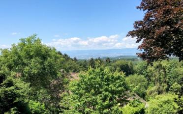 Maison contiguë 4.5 pièces - image - 7