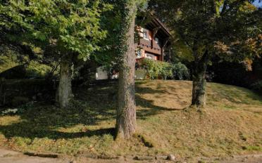 Reihenfamilienhaus 4.5 Zimmer - image - 3