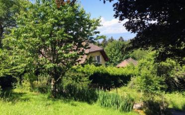 Reihenfamilienhaus 4.5 Zimmer - image - 11