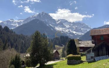 Chalet 8.5 pièces - image - 2