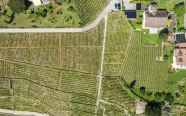 Maison 11.5 pièces - image - 11
