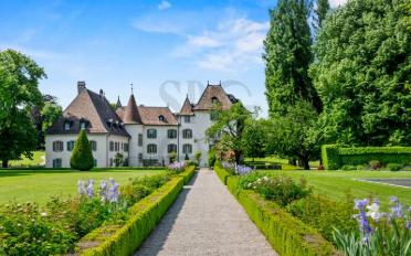 Castle 16 rooms - image - 1