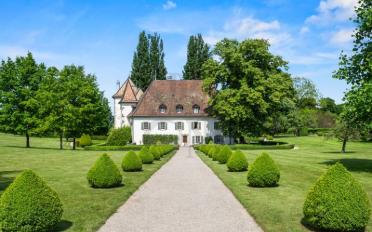 Castle 16 rooms - image - 12