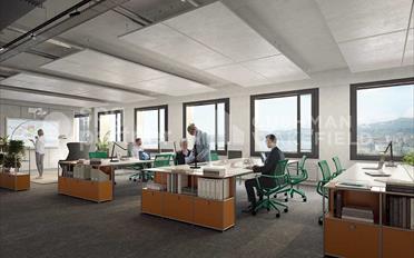 Office - image - 8