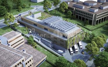 Office - image - 3