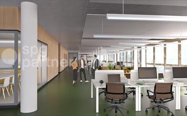 Büro - image - 5