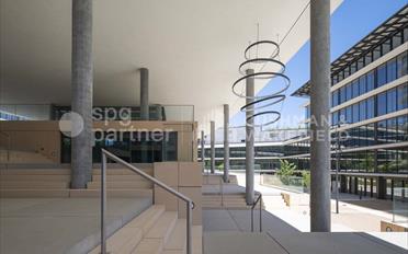 Office - image - 6