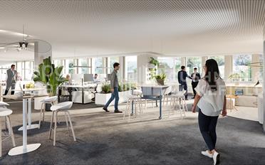 Büro - image - 4