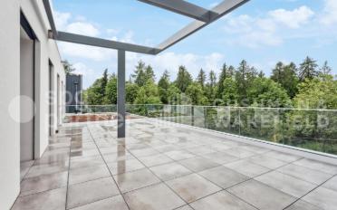 Office - image - 11