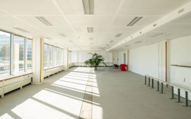 Office 1 room - image - 11