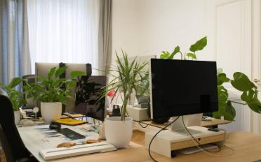 Bureau - image - 5
