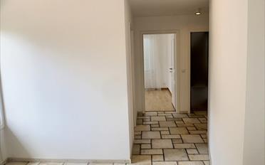 Appartement 5.5 pièces - image - 9