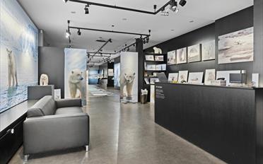 Shop - image - 2