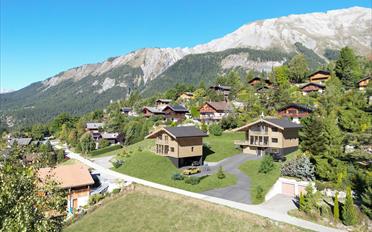 Chalet 6.5 pièces - image - 2