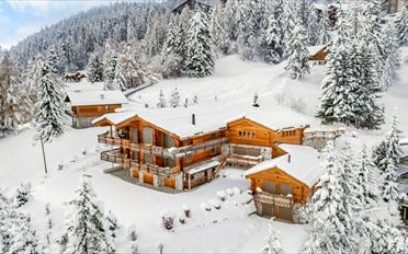 Chalet 12 Zimmer - image - 1