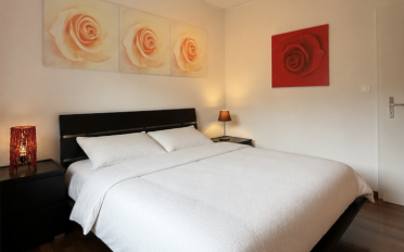Duplex 4.5 rooms - image - 9