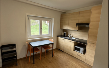 Appartement 1.5 pièces - image - 11