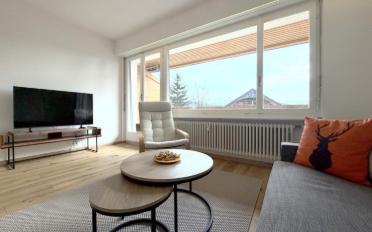 Appartement meublé 1.5 pièces - image - 2