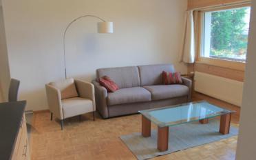 Furnished flat 3.5 rooms - image - 6