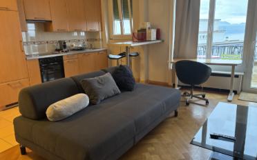 Appartement meublé 1.5 pièces - image - 4