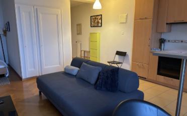 Appartement meublé 1.5 pièces - image - 5