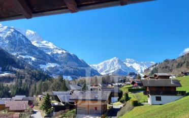 Chalet 5.5 pièces - image - 1