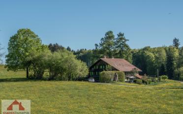 Einfamilienhaus 10 Zimmer - image - 1