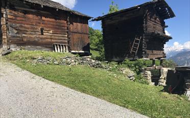Rustico 2.5 Zimmer - image - 1