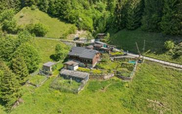 Einfamilienhaus 3.5 Zimmer - image - 1