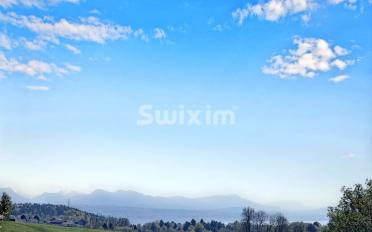Maison 5.5 pièces - image - 2