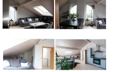 Appartement - image - 7