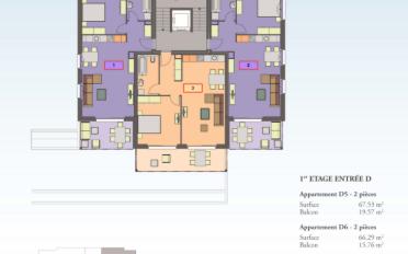 Wohnung 2.5 Zimmer - image - 1