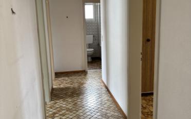 Appartement 4.5 pièces - image - 4