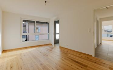 Appartement - image - 7