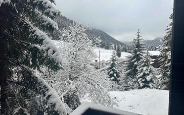 Chalet 6.5 rooms - image - 2