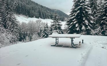 Chalet 6.5 rooms - image - 3