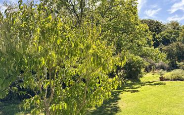 Bifamiliar house 4.5 rooms - image - 2